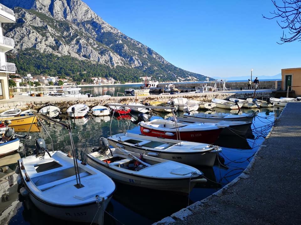 Apartment Ana - Gradac Zewnętrze zdjęcie